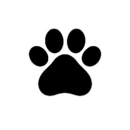 Hospcom Animal Care Colombia